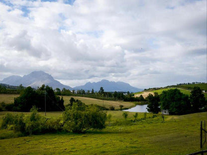 Zebra Cottage And Lodge, The Zebra Lodge, Mountain, Nature, Highland