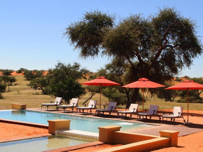 Zebra Kalahari Lodge, Swimming Pool