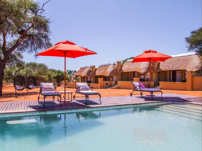 Zebra Kalahari Lodge, Swimming Pool