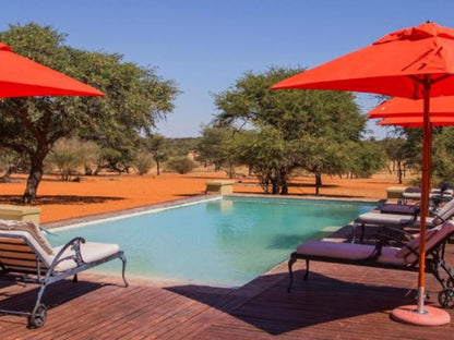 Zebra Kalahari Lodge, Swimming Pool