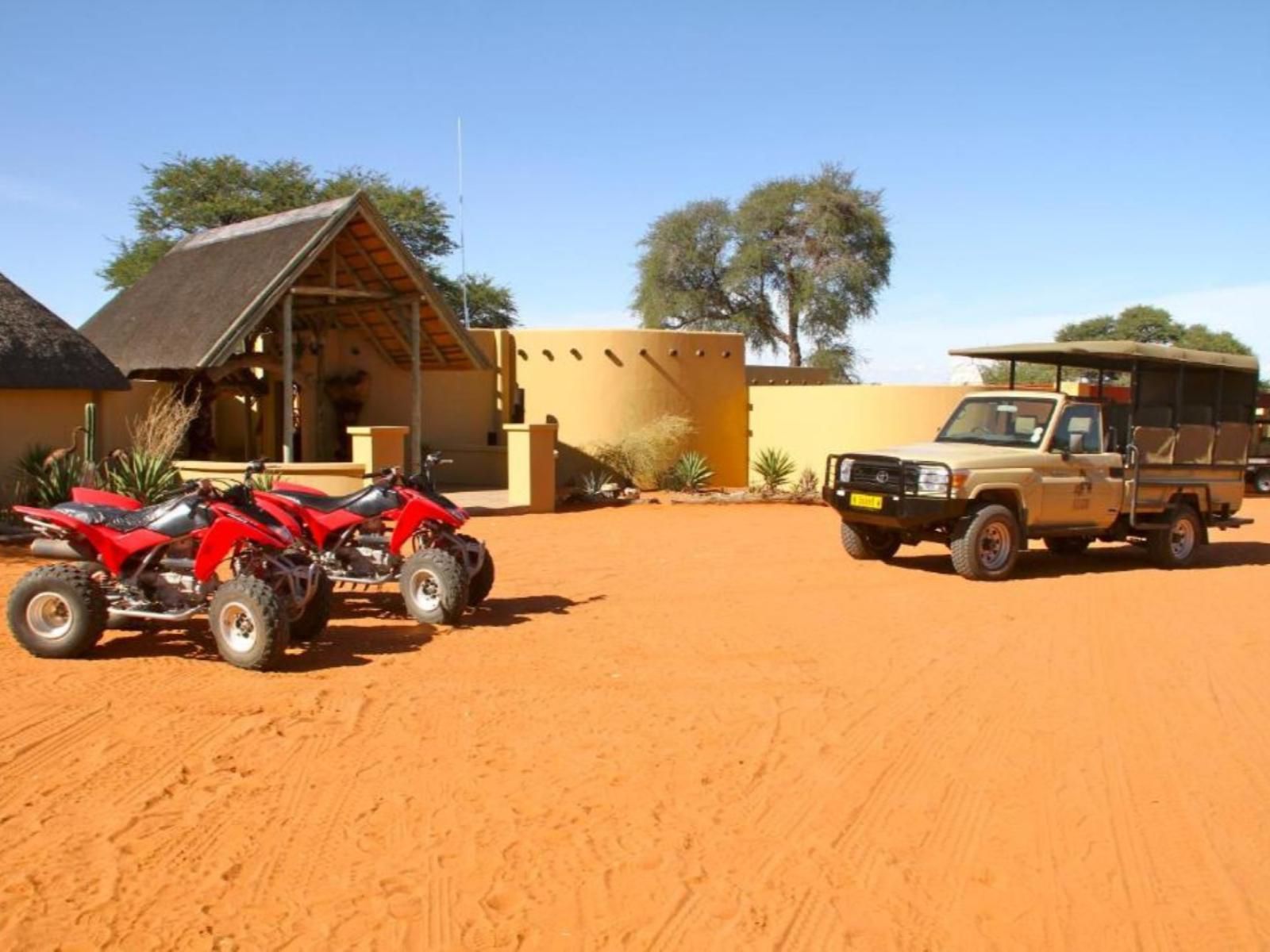 Zebra Kalahari Lodge, Colorful, Desert, Nature, Sand