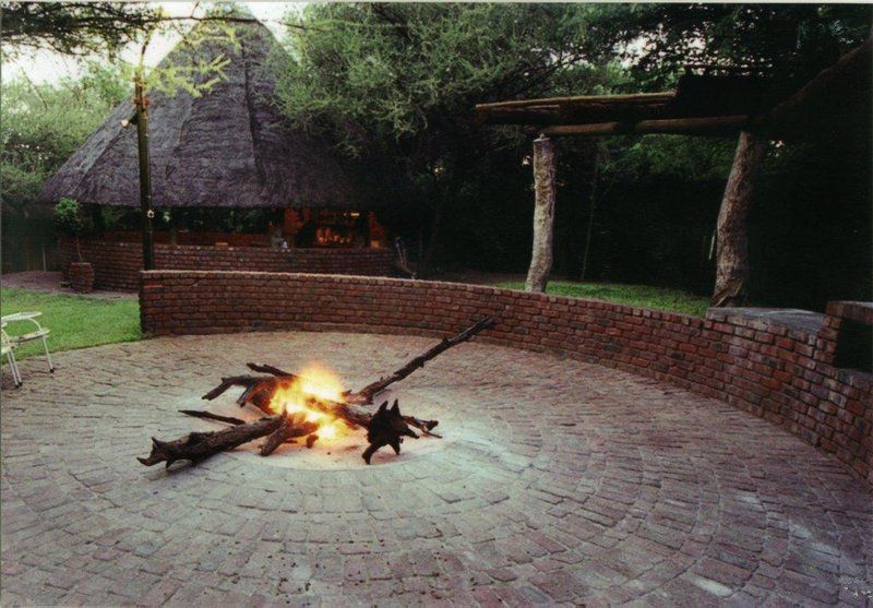 Zebra Camp Tshipise Limpopo Province South Africa Fire, Nature, Fireplace