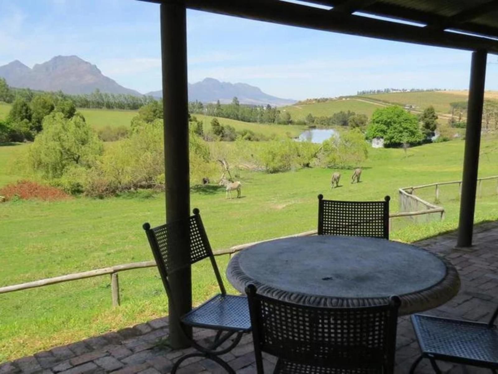 Zebra Cottage Stellenbosch Western Cape South Africa Complementary Colors, Mountain, Nature, Framing, Highland