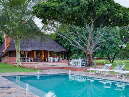 Zebras Crossing Modimolle Nylstroom Limpopo Province South Africa Swimming Pool