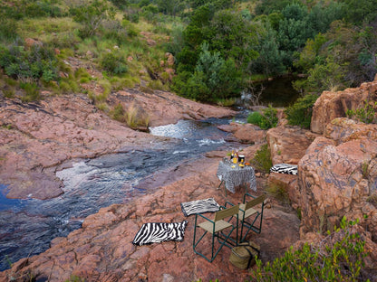 Zebras Crossing Modimolle Nylstroom Limpopo Province South Africa Canyon, Nature