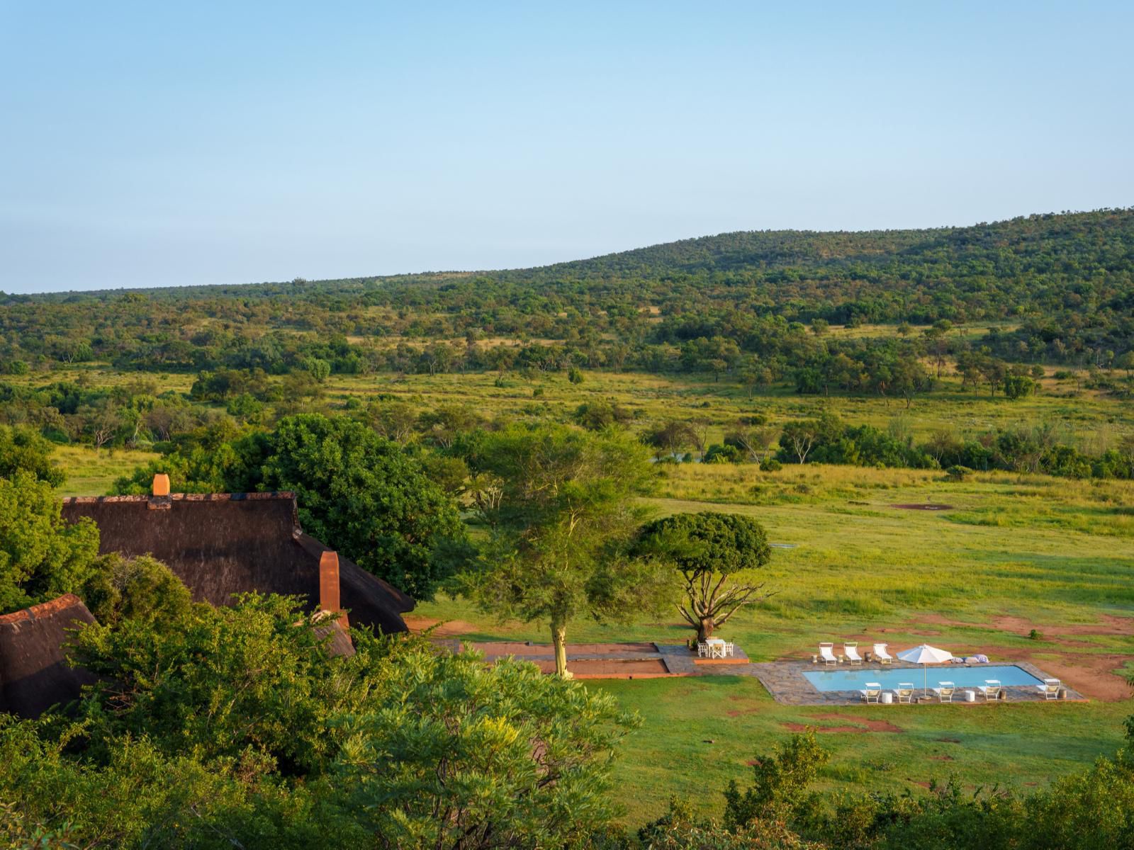 Zebras Crossing Modimolle Nylstroom Limpopo Province South Africa Complementary Colors