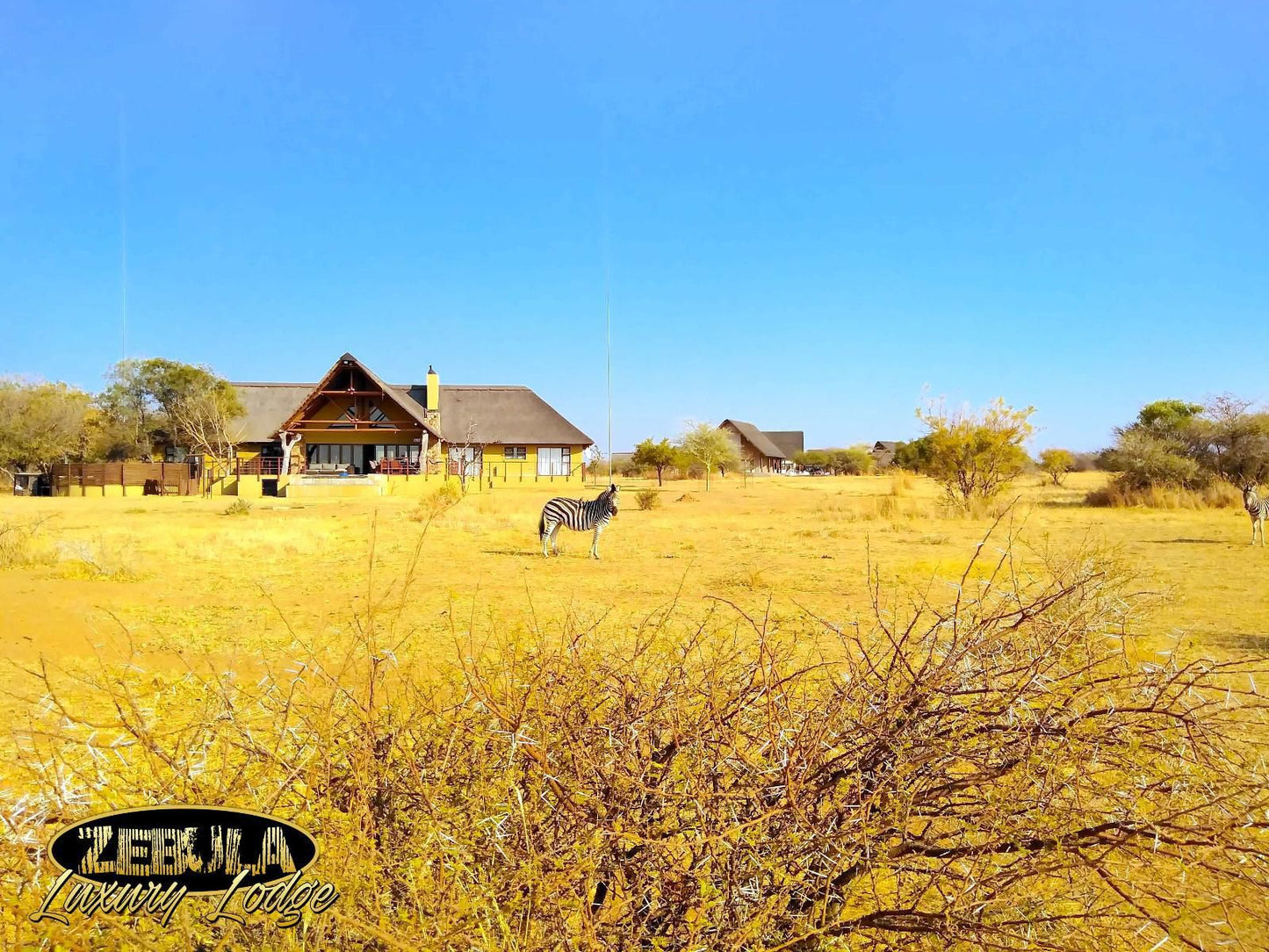 Zebula Luxury Lodge Zebula Golf Estate Limpopo Province South Africa Complementary Colors, Colorful, Lowland, Nature