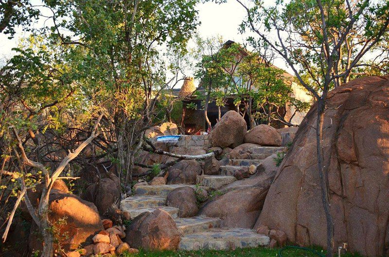 Zebula 317 Kukama S Rest Mabula Private Game Reserve Limpopo Province South Africa 