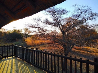 Zebula Njala Crossing Pax 14 Zebula Golf Estate Limpopo Province South Africa 