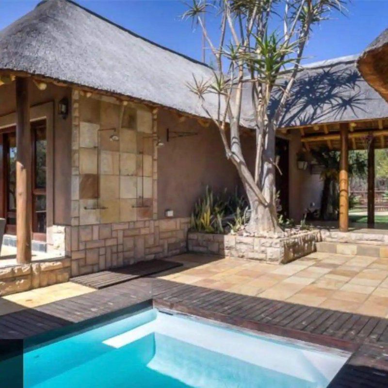Zebula Toktokkie Knocking Pax 16 Zebula Golf Estate Limpopo Province South Africa Complementary Colors, Swimming Pool