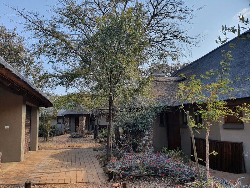 Zebula Walk Of The Eland Pax 12 Zebula Golf Estate Limpopo Province South Africa House, Building, Architecture