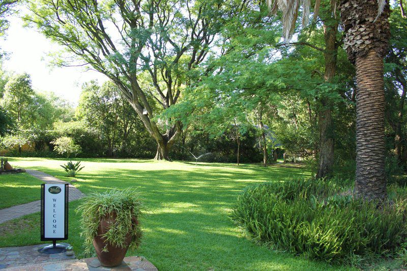 Zeederberg Cottage Vaalwater Limpopo Province South Africa Plant, Nature, Tree, Wood, Garden