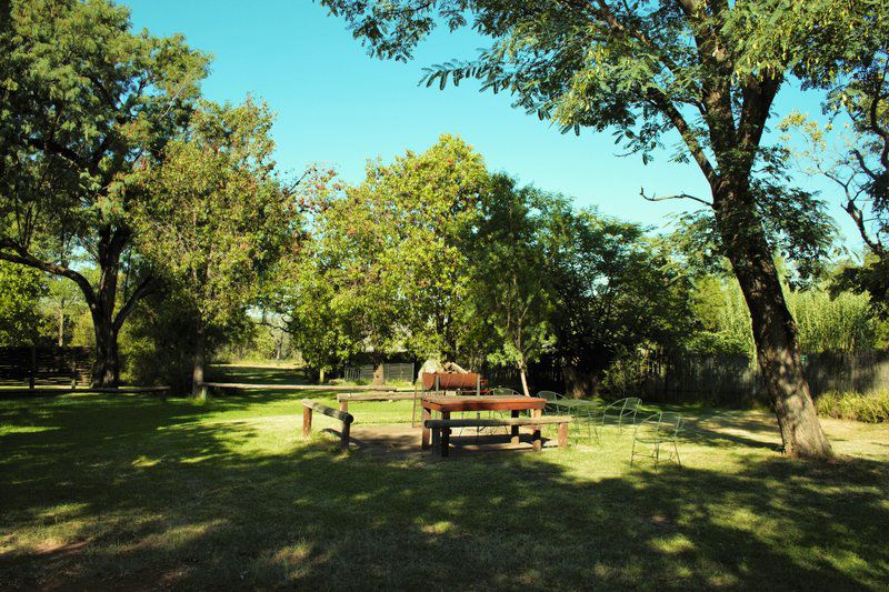 Zeederberg Cottage Vaalwater Limpopo Province South Africa Tree, Plant, Nature, Wood