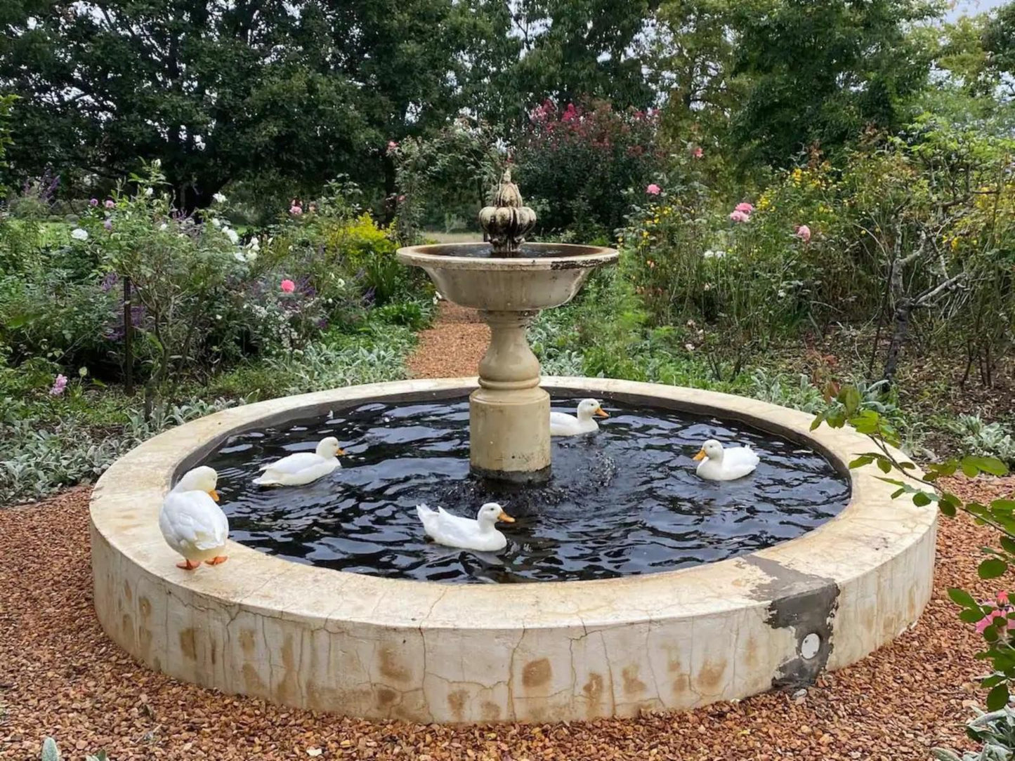 Zeekoegat Historical Homestead Riversdale Western Cape South Africa Fountain, Architecture, Garden, Nature, Plant, Swimming Pool