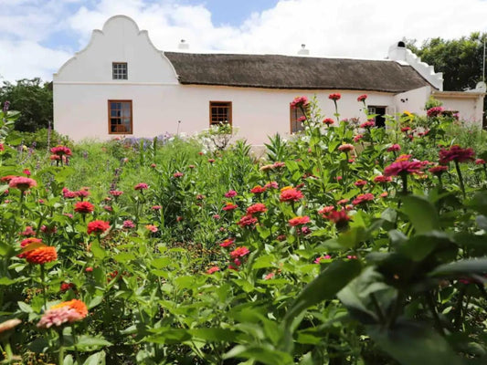 Zeekoegat Historical Homestead Riversdale Western Cape South Africa House, Building, Architecture, Plant, Nature, Rose, Flower, Garden