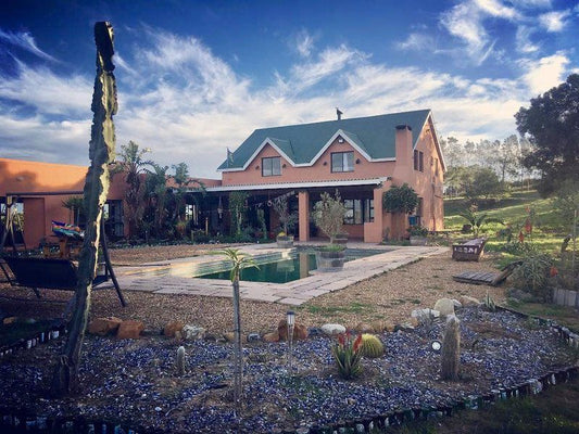 Zeestock Lodge Cape Farms Cape Town Western Cape South Africa House, Building, Architecture, Palm Tree, Plant, Nature, Wood, Swimming Pool