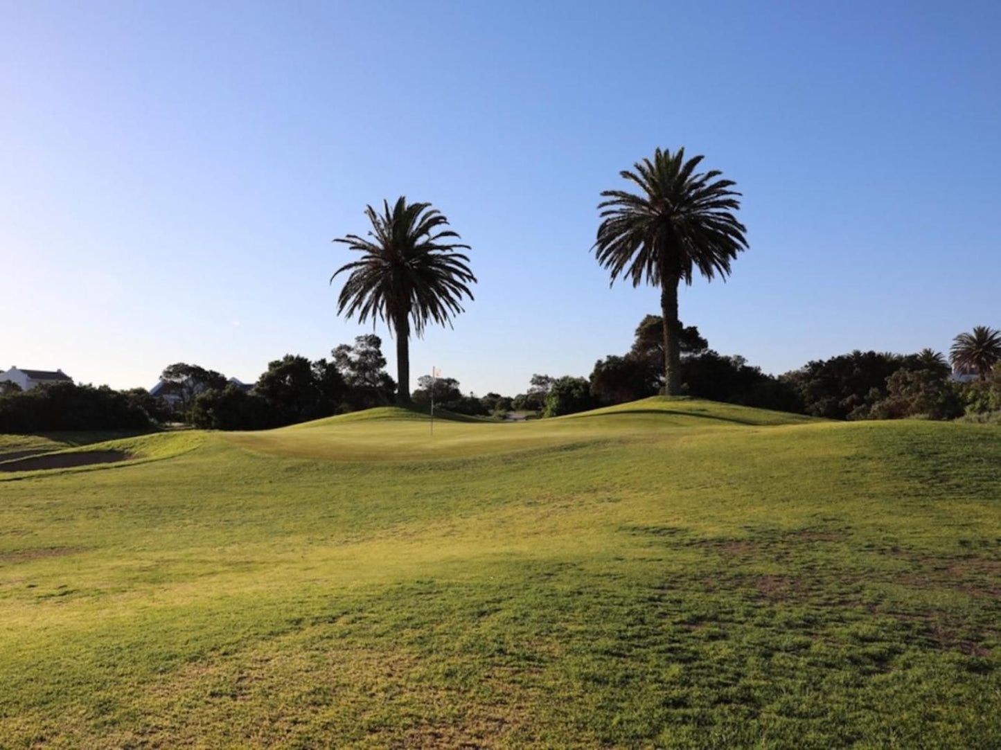 Zeezicht Apartments, Palm Tree, Plant, Nature, Wood, Ball Game, Sport, Golfing