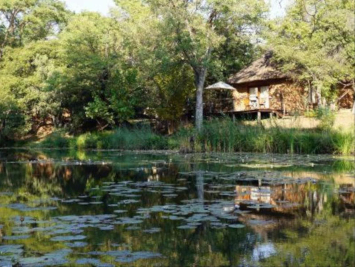 Zenzele River Lodge Rust De Winter Limpopo Province South Africa River, Nature, Waters