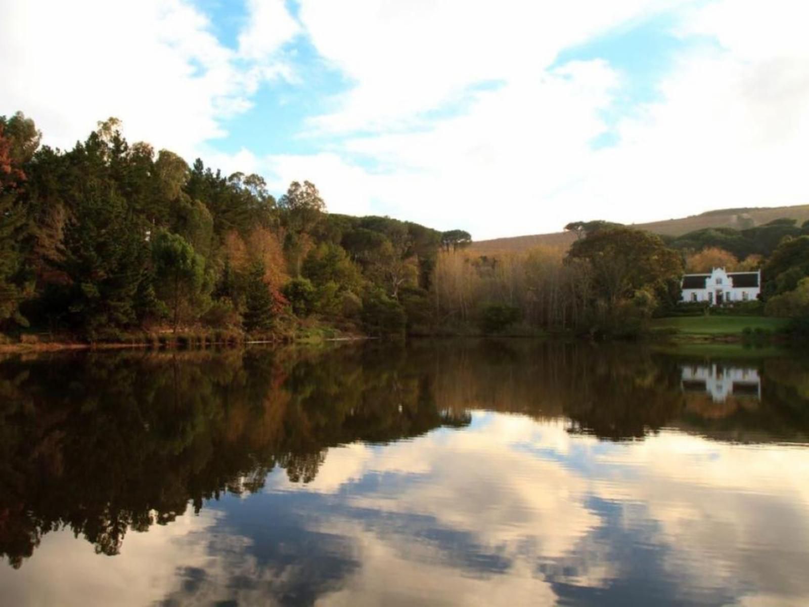 Zevenwacht Wine Estate Stellenbosch Farms Stellenbosch Western Cape South Africa River, Nature, Waters, Highland