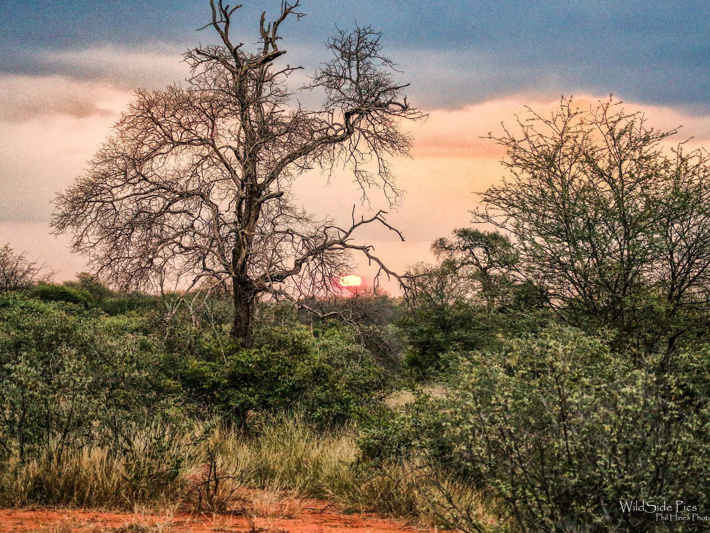 Zingela Nature Reserve Tolwe Limpopo Province South Africa Framing, Nature, Sunset, Sky