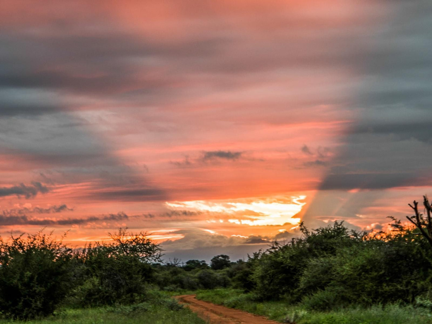 Zingela Nature Reserve Tolwe Limpopo Province South Africa Sky, Nature, Lowland, Sunset