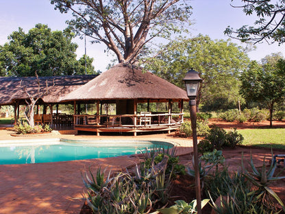 Zingela Nature Reserve Tolwe Limpopo Province South Africa Swimming Pool