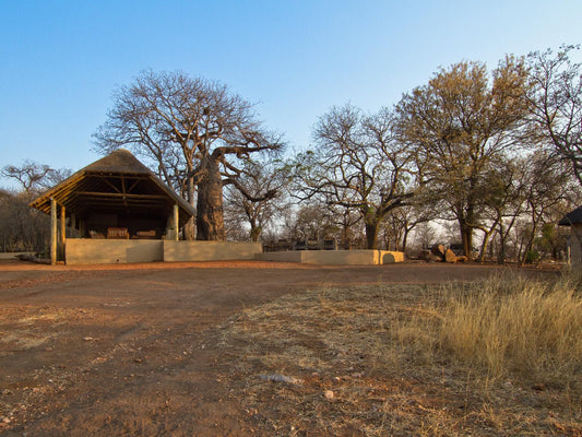 Zingela Nature Reserve Tolwe Limpopo Province South Africa Complementary Colors, Lowland, Nature