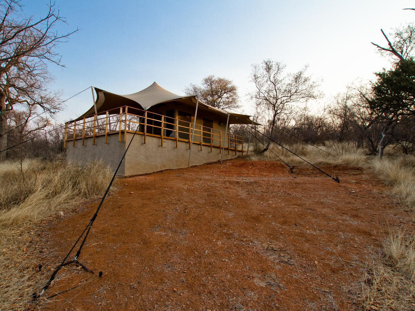 Zingela Nature Reserve Tolwe Limpopo Province South Africa 