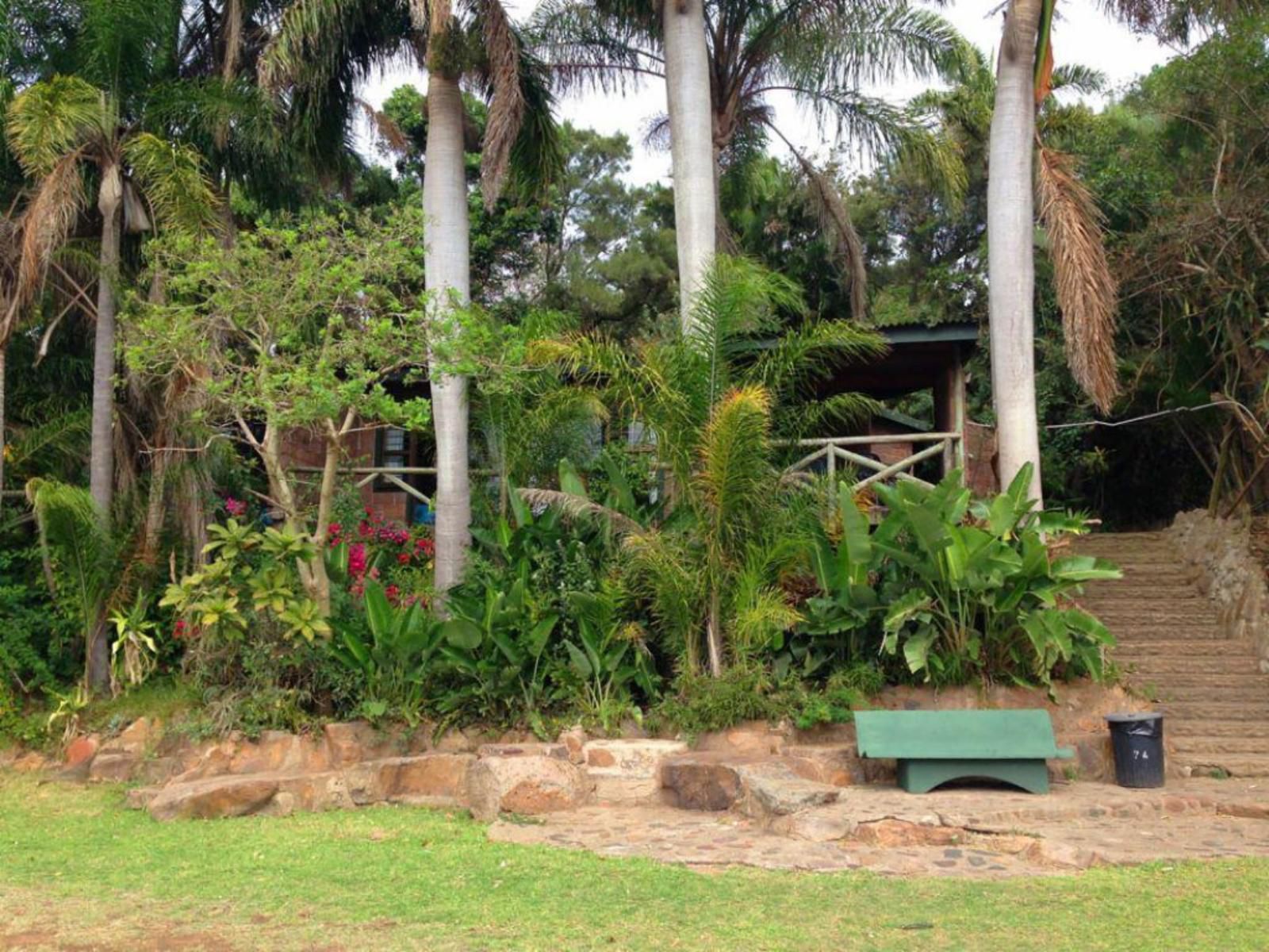 Zinkwazi Lagoon Lodge Zinkwazi Beach Nkwazi Kwazulu Natal South Africa Palm Tree, Plant, Nature, Wood, Garden