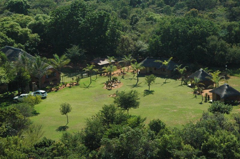 Zion Game Lodge Waterberg Biosphere Reserve Limpopo Province South Africa Palm Tree, Plant, Nature, Wood