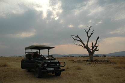 Zion Game Lodge Waterberg Biosphere Reserve Limpopo Province South Africa Desert, Nature, Sand