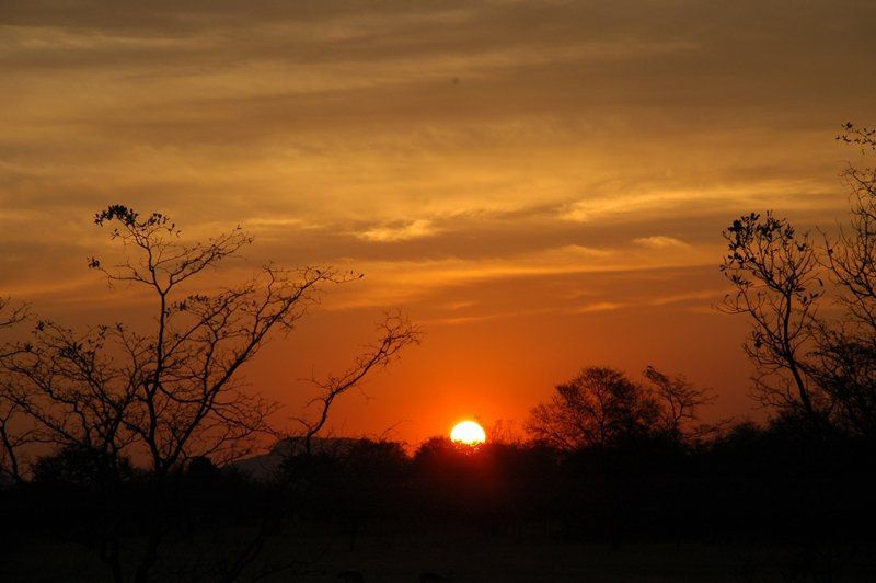 Zion Game Lodge Waterberg Biosphere Reserve Limpopo Province South Africa Sky, Nature, Sunset