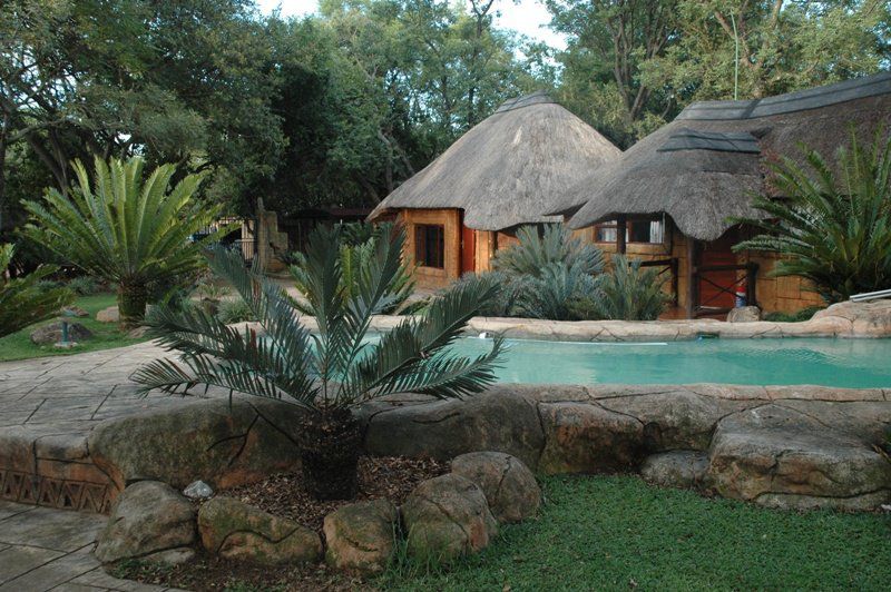 Zion Game Lodge Waterberg Biosphere Reserve Limpopo Province South Africa Palm Tree, Plant, Nature, Wood, Swimming Pool