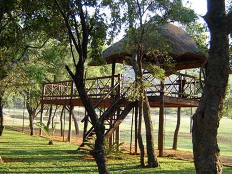Zion Game Lodge Waterberg Biosphere Reserve Limpopo Province South Africa Tree, Plant, Nature, Wood