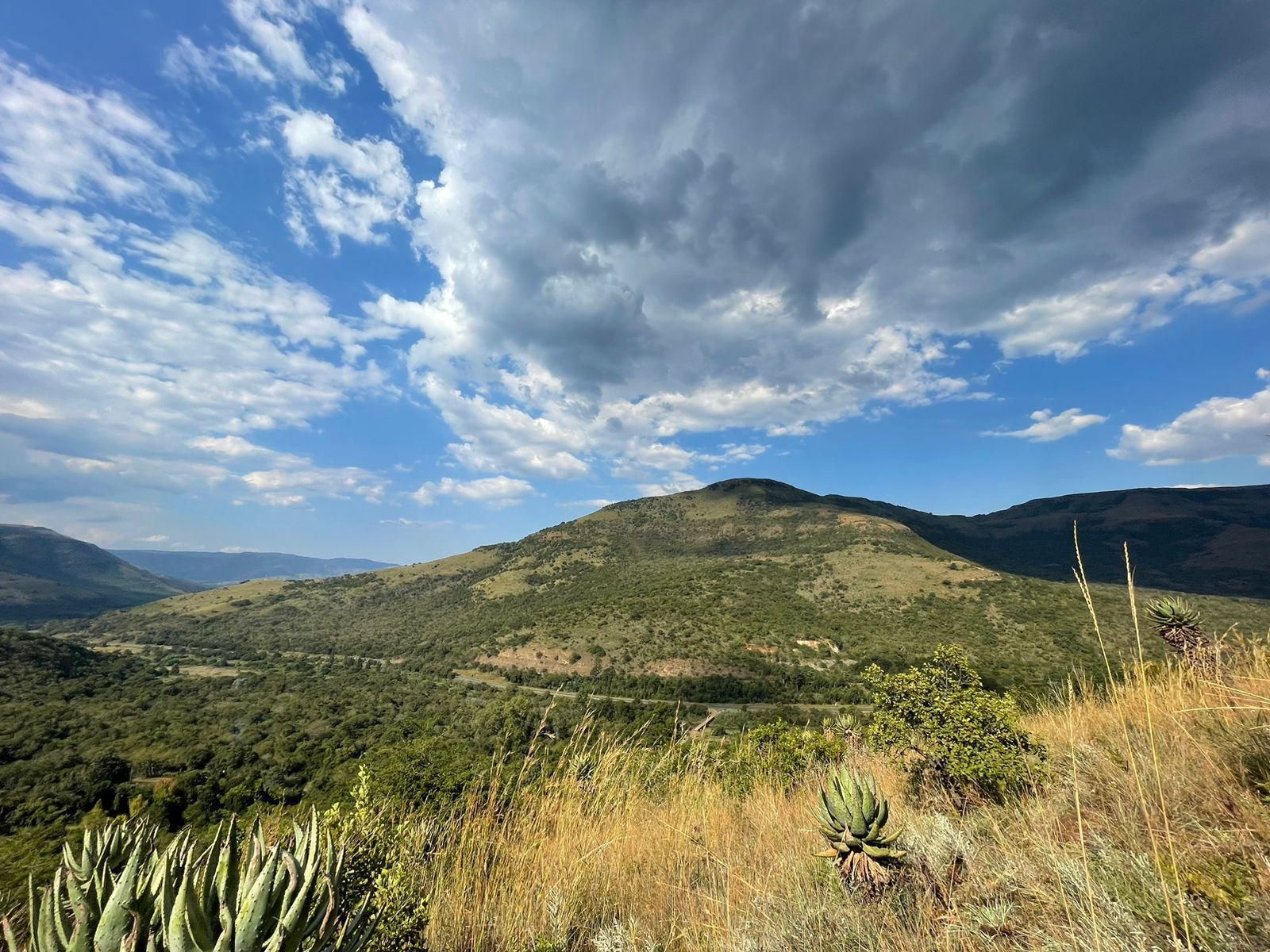 Zongororo Mountain Lodge, Nature