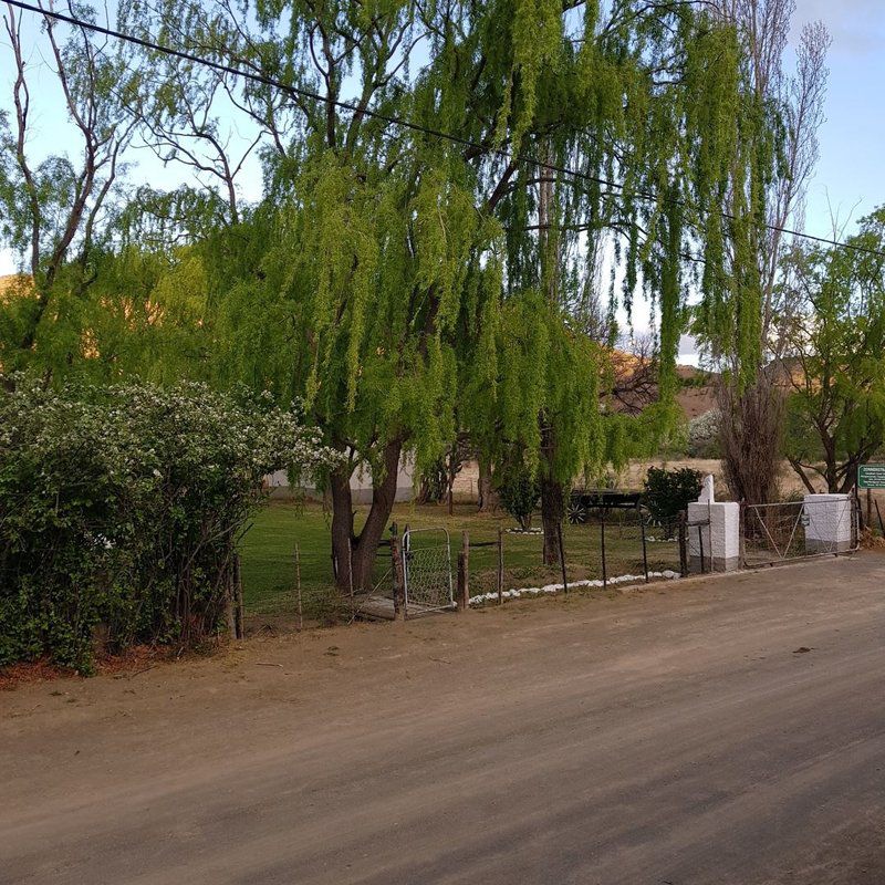 Zonnenstrahl Camping Ground Nieu Bethesda Eastern Cape South Africa Plant, Nature, Street