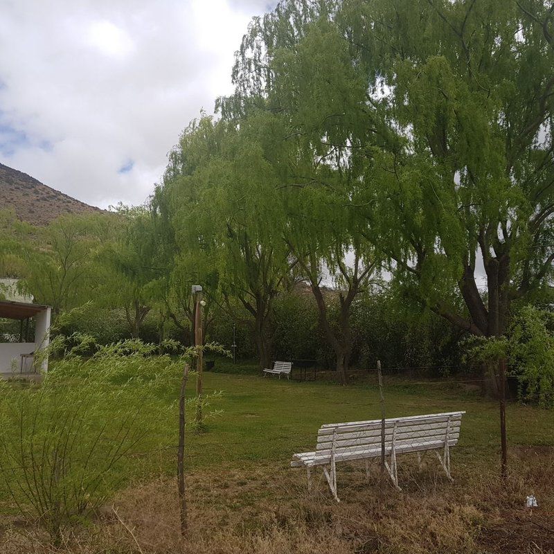 Zonnenstrahl Camping Ground Nieu Bethesda Eastern Cape South Africa Plant, Nature, Highland