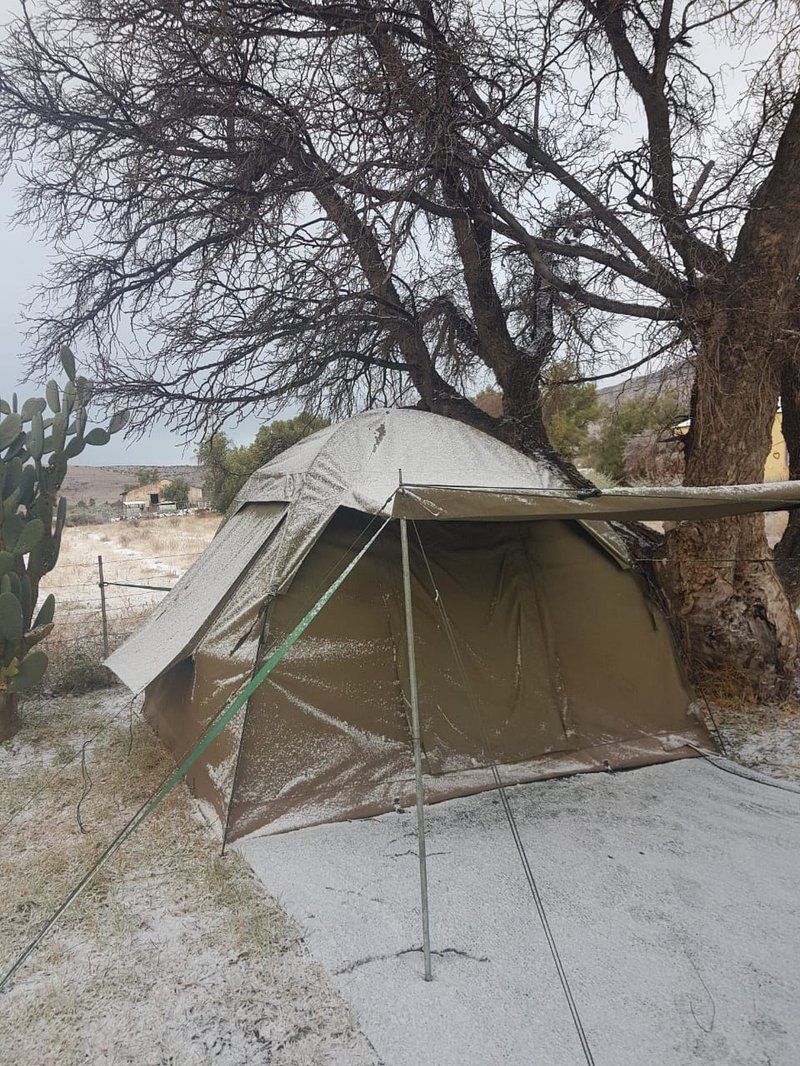 Zonnenstrahl Camping Ground Nieu Bethesda Eastern Cape South Africa Unsaturated, Cactus, Plant, Nature, Tent, Architecture