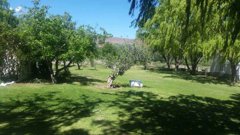 Zonnenstrahl Camping Ground Nieu Bethesda Eastern Cape South Africa Tree, Plant, Nature, Wood