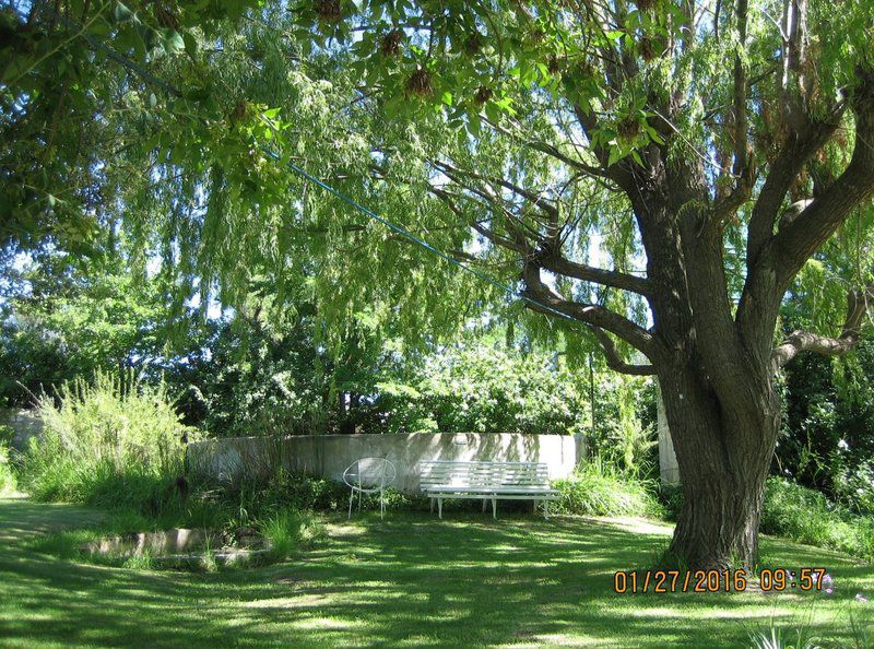 Zonnenstrahl Guest House Nieu Bethesda Eastern Cape South Africa Plant, Nature, Tree, Wood, Garden