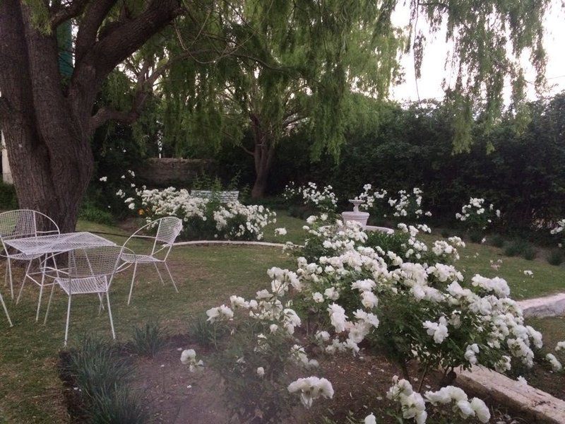 Zonnenstrahl Guest House Nieu Bethesda Eastern Cape South Africa Blossom, Plant, Nature, Garden