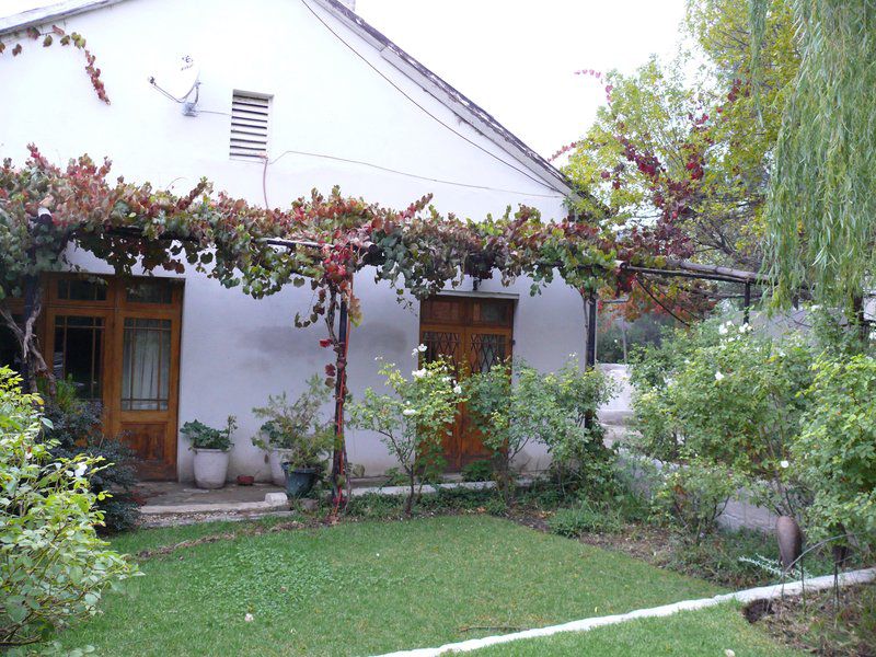 Zonnenstrahl Guest House Nieu Bethesda Eastern Cape South Africa House, Building, Architecture, Plant, Nature