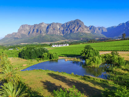 Zorgvliet Wines Country Lodge Kylemore Stellenbosch Western Cape South Africa Complementary Colors, Mountain, Nature