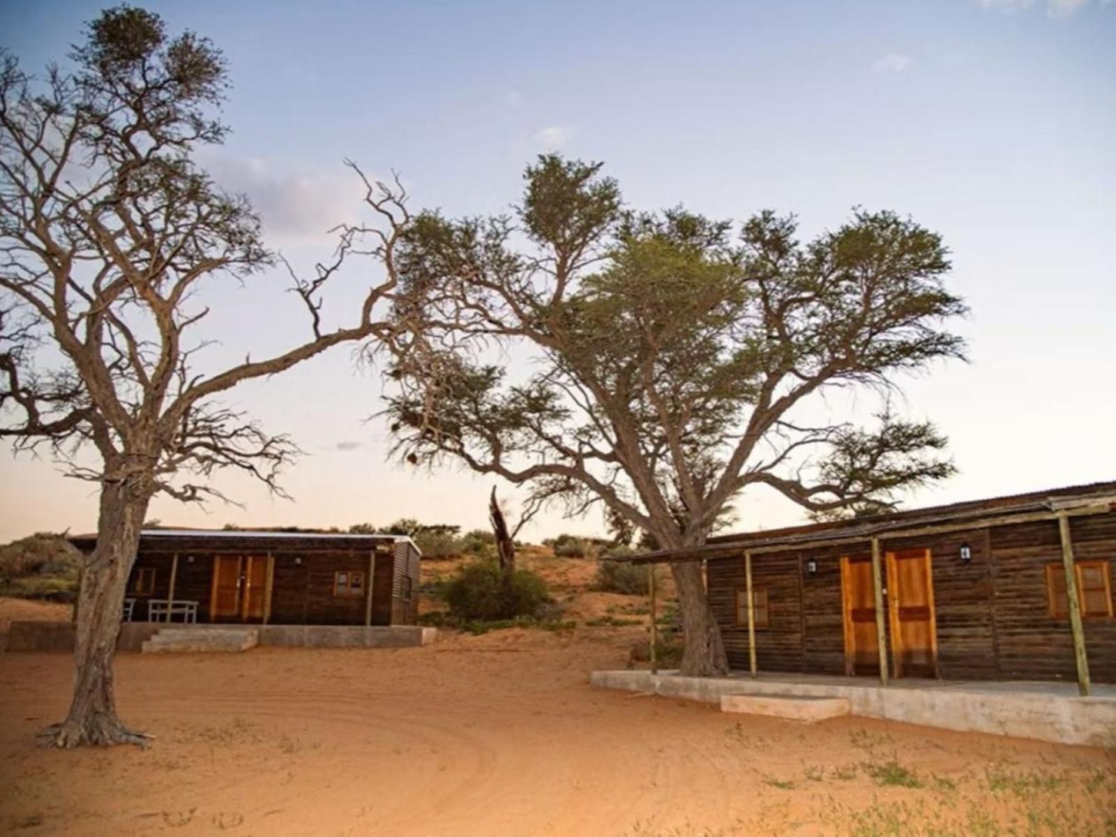 Zoutpanputs Game Lodge Askham Northern Cape South Africa Complementary Colors, Desert, Nature, Sand