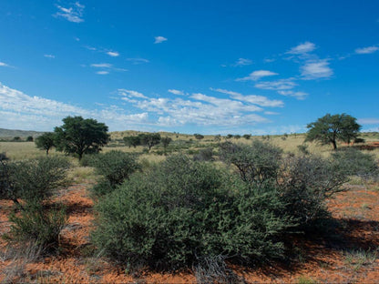 Zoutpanputs Game Lodge Askham Northern Cape South Africa Desert, Nature, Sand, Lowland