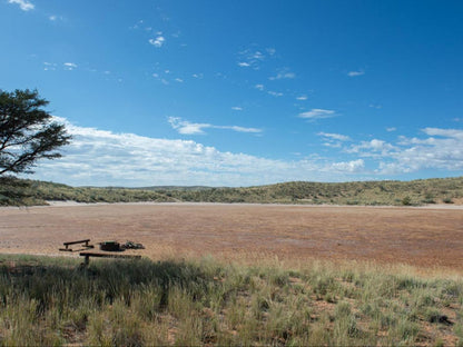 Zoutpanputs Game Lodge Askham Northern Cape South Africa Complementary Colors, Desert, Nature, Sand, Lowland