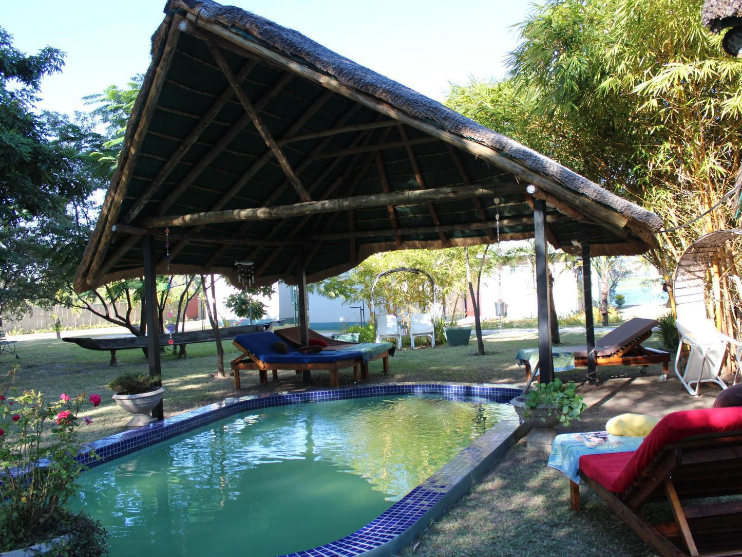 Zovu Elephant Lodge, Palm Tree, Plant, Nature, Wood, Swimming Pool