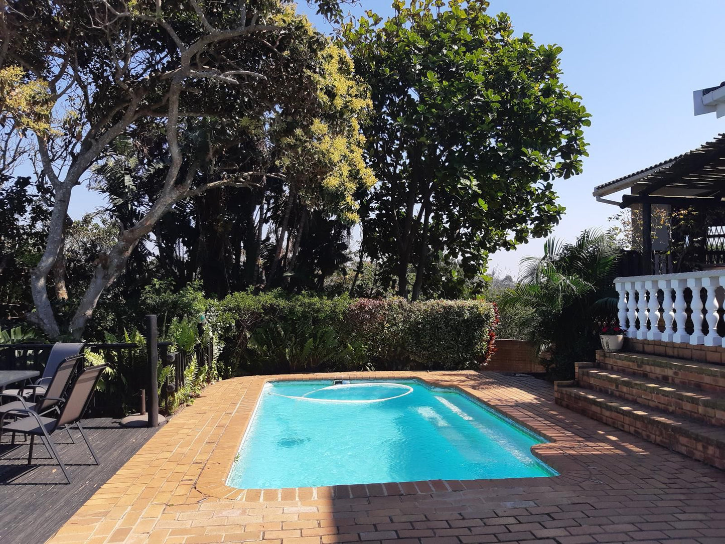 Zuider Zee Guest House Salt Rock Ballito Kwazulu Natal South Africa Palm Tree, Plant, Nature, Wood, Garden, Swimming Pool