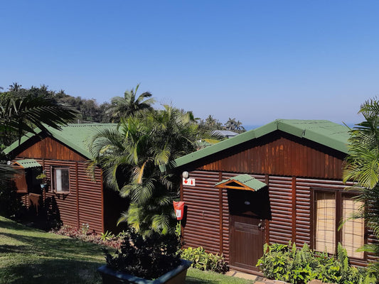 Zuider Zee Guest House Salt Rock Ballito Kwazulu Natal South Africa Complementary Colors, Building, Architecture, Palm Tree, Plant, Nature, Wood