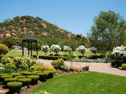 Zuikerkop Country Game Lodge Clocolan Free State South Africa Complementary Colors, Plant, Nature, Garden